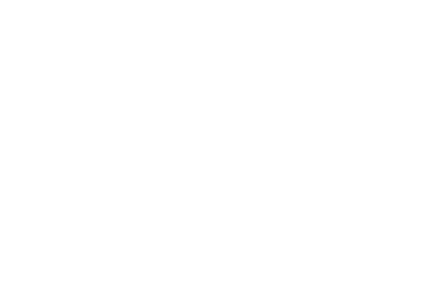 Dolmen Mortgages Logo